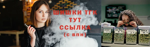 шишки Аркадак