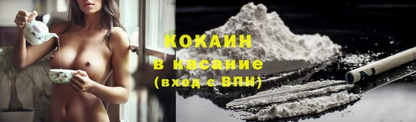 стаф Арсеньев