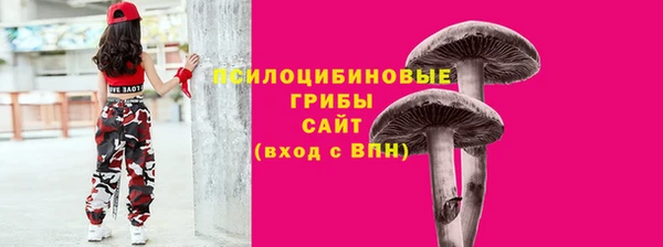 стаф Арсеньев
