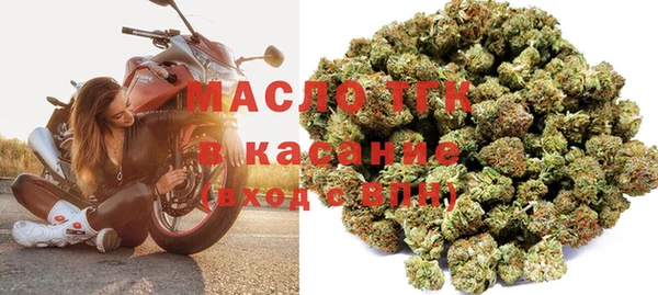 шишки Аркадак