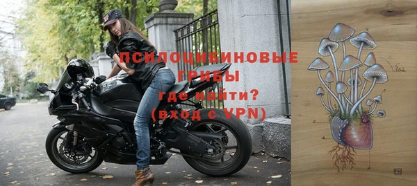 стаф Арсеньев