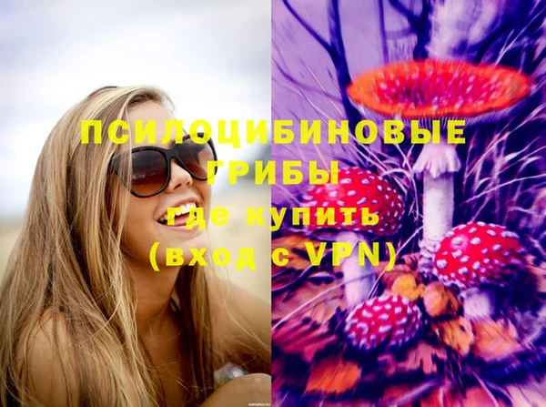 стаф Арсеньев