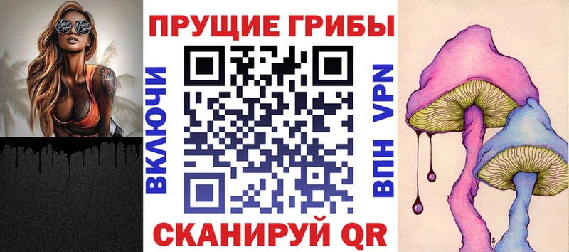 дарк нет как зайти  Бикин  Псилоцибиновые грибы мухоморы  закладки 